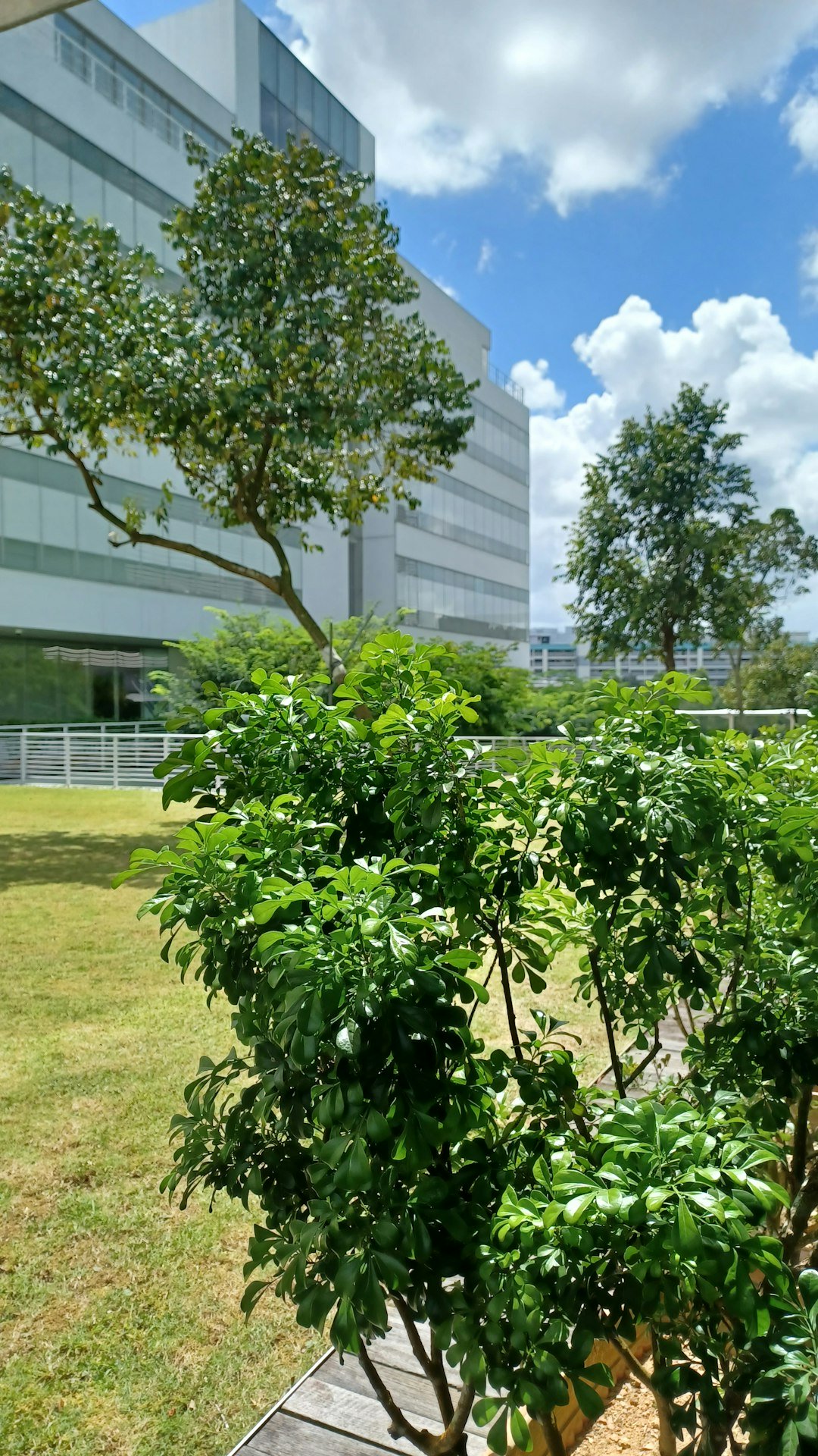 レモンピュア バスルームクリーナー